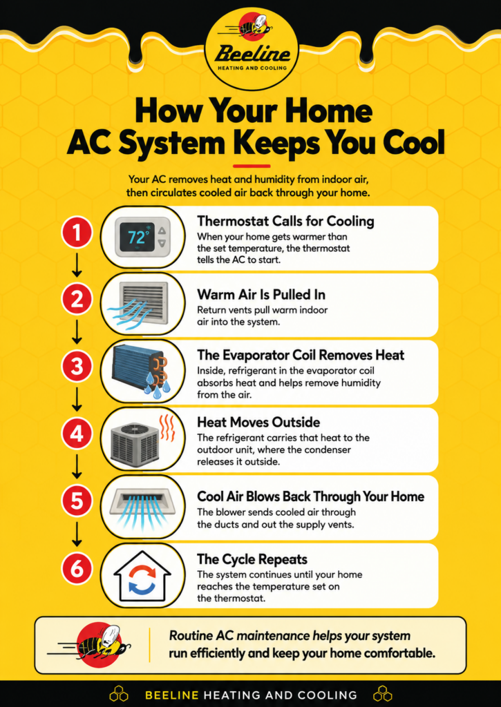 Infographic showing how a home AC system keeps you cool, from the thermostat calling for cooling to warm air intake, heat removal, outdoor heat release, cool air circulation, and the cycle repeating.